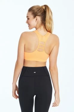 Marika Bestsellers Haley Seamless Sports Bra 57 Marika Bestsellers Haley Seamless Sports Bra