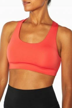 Marika Features Avianna Sport Bra